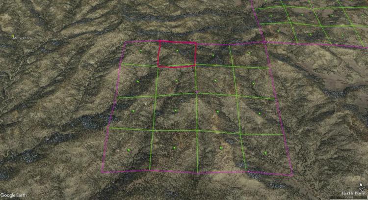Less than $400 an Acre - Western New Mexico Mountain Land