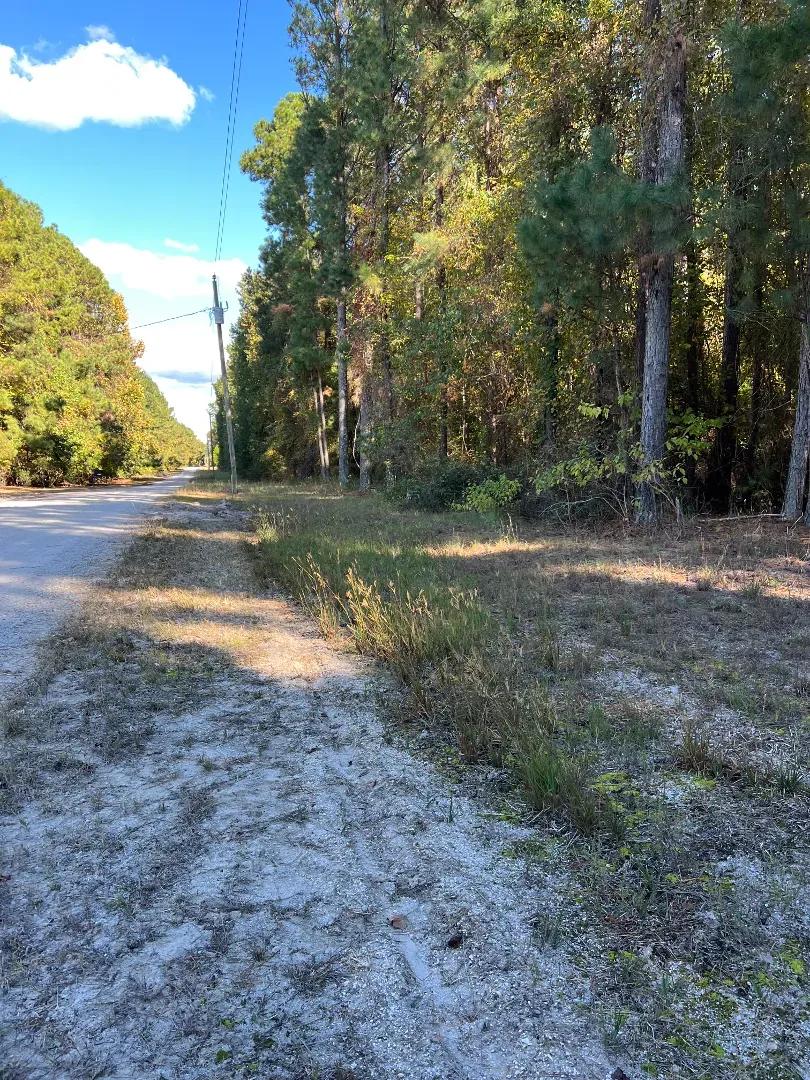Waterfront Property for Sale in Hyde County, NC