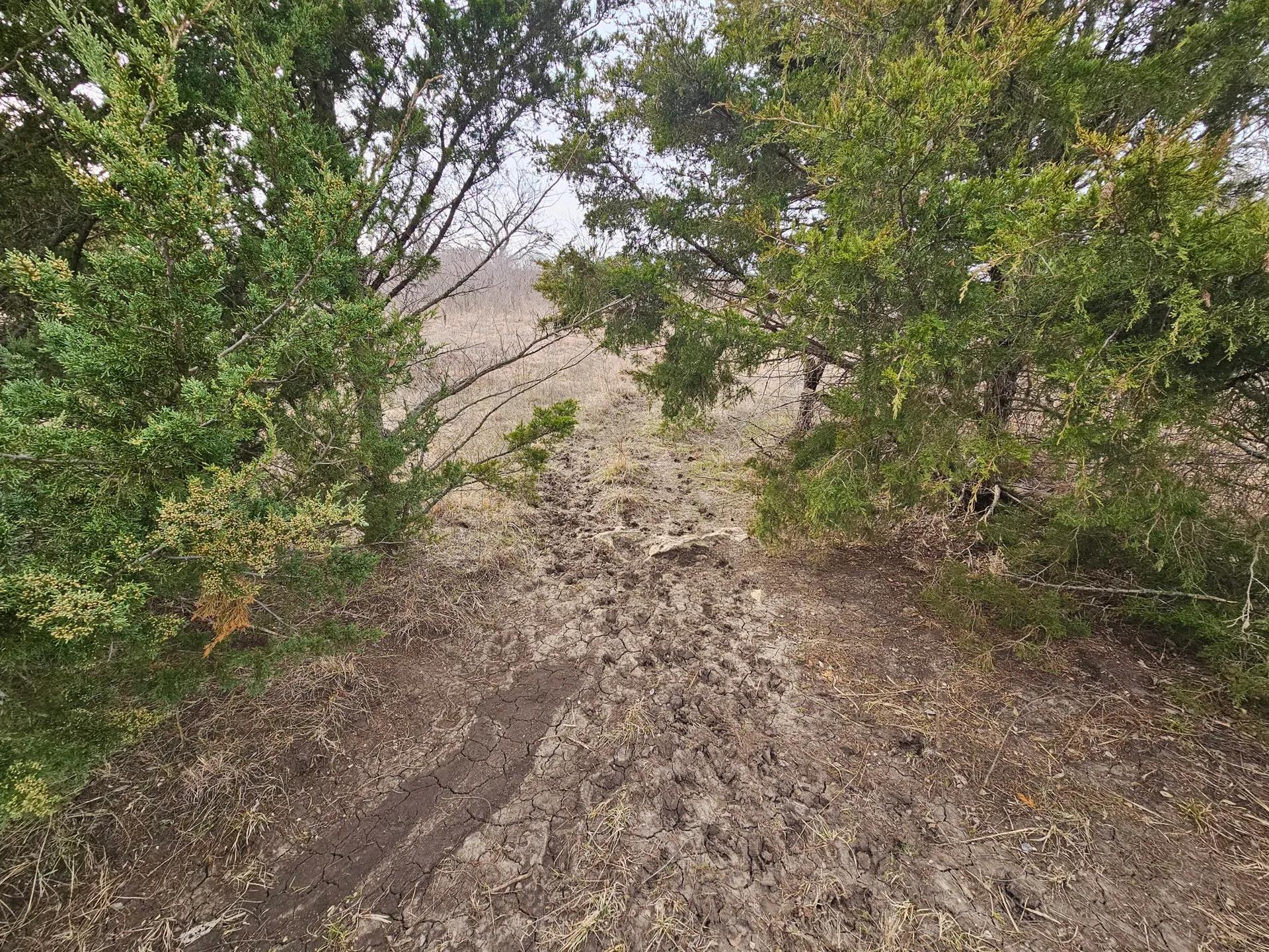 65832900-18
