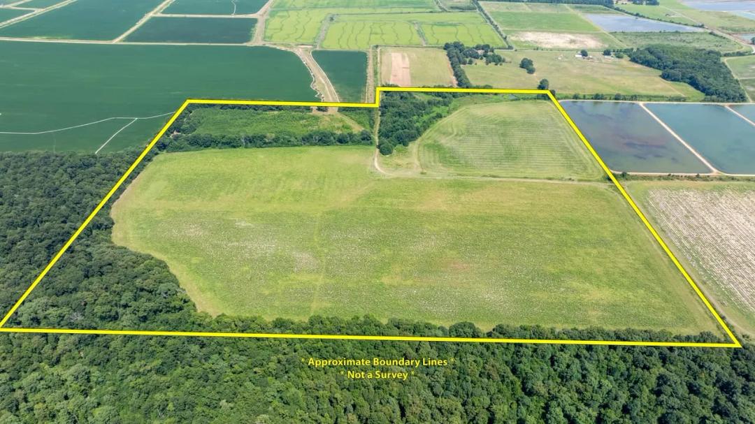 145 +/- Acre Row Crop Farm | 2 Irrigation Wells | Duck & Deer Hunting | Des Arc, Arkansas