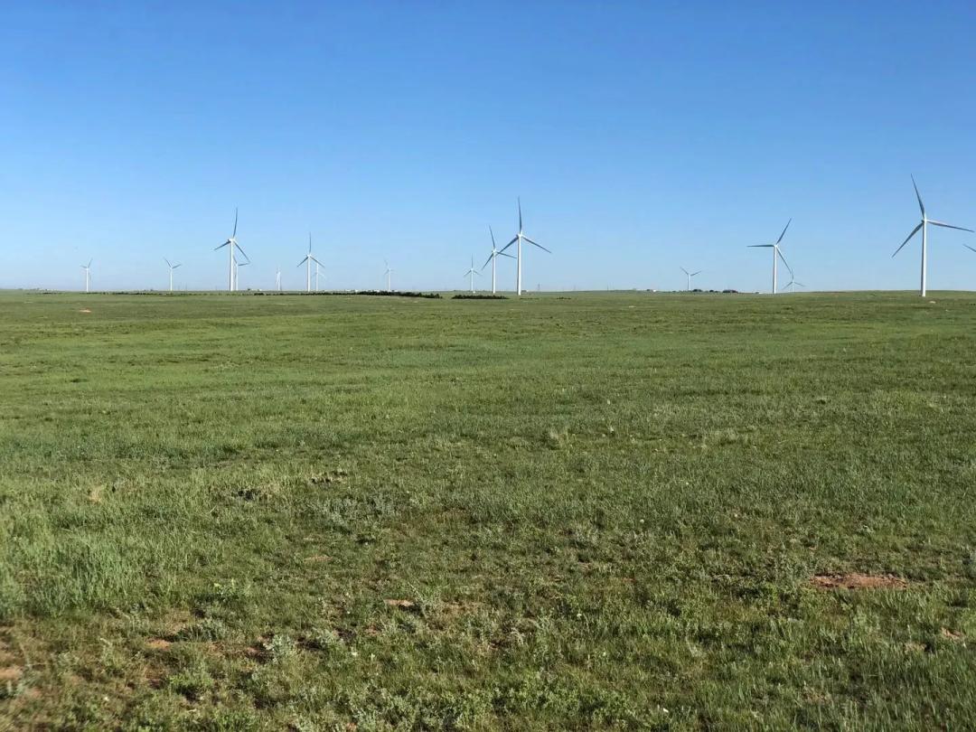 Ritchey Breeder Farm