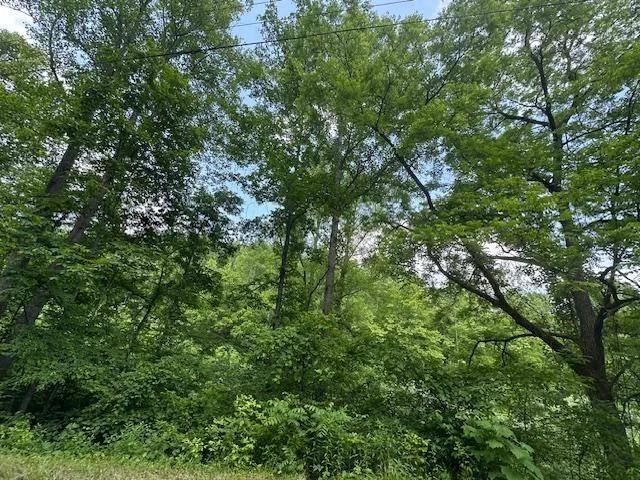 ATT:HUNTERS-22+/-AC(50+/-AC AS PER PVA) IN ELLIOTT CO.KY $75,000