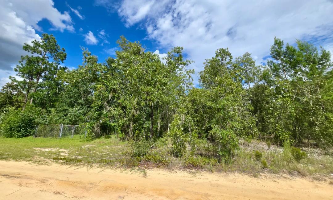 SPACE! Lightly wooded Building Lot with access to Power