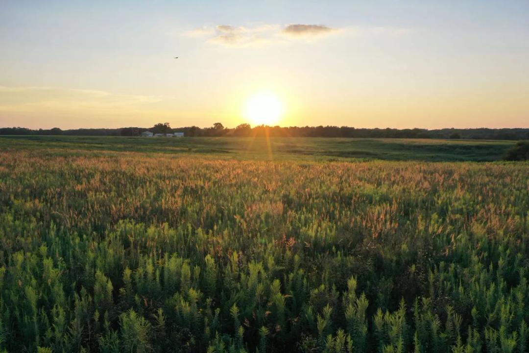 Listing #19718 - 349.09 acres in Wapello County, IA