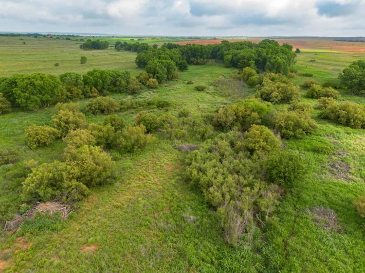 Spring Creek 320