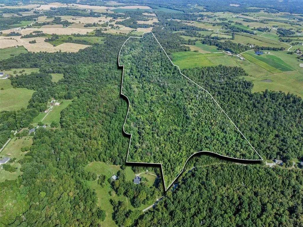 65982839-12