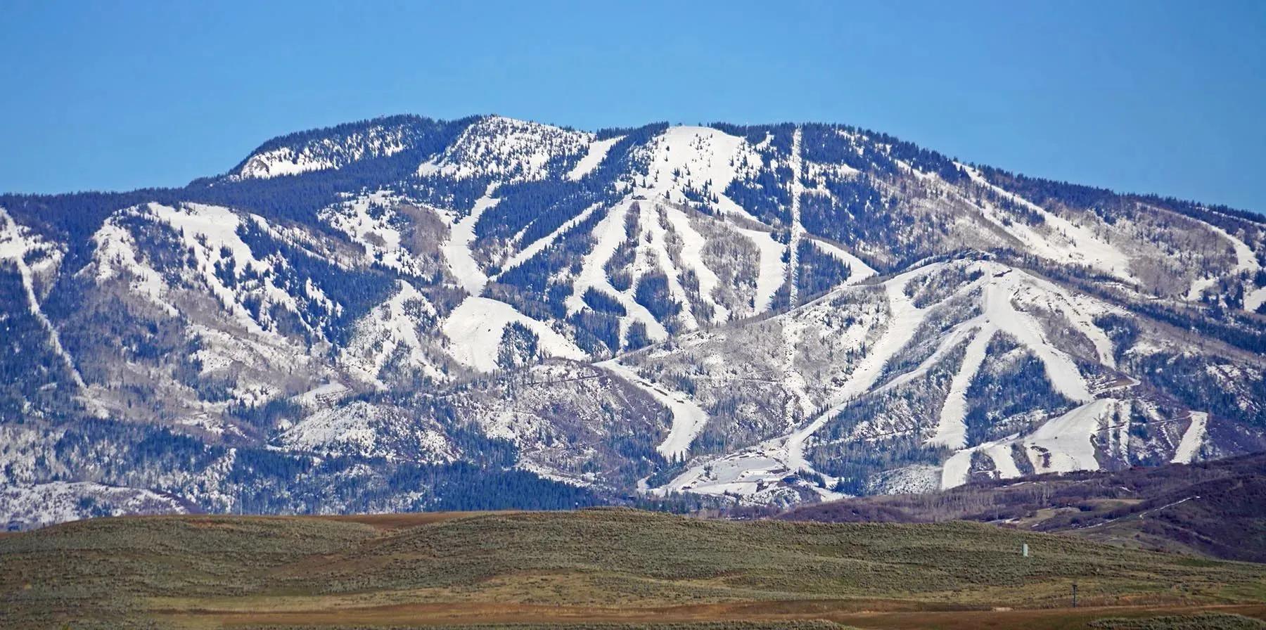 65996842-25