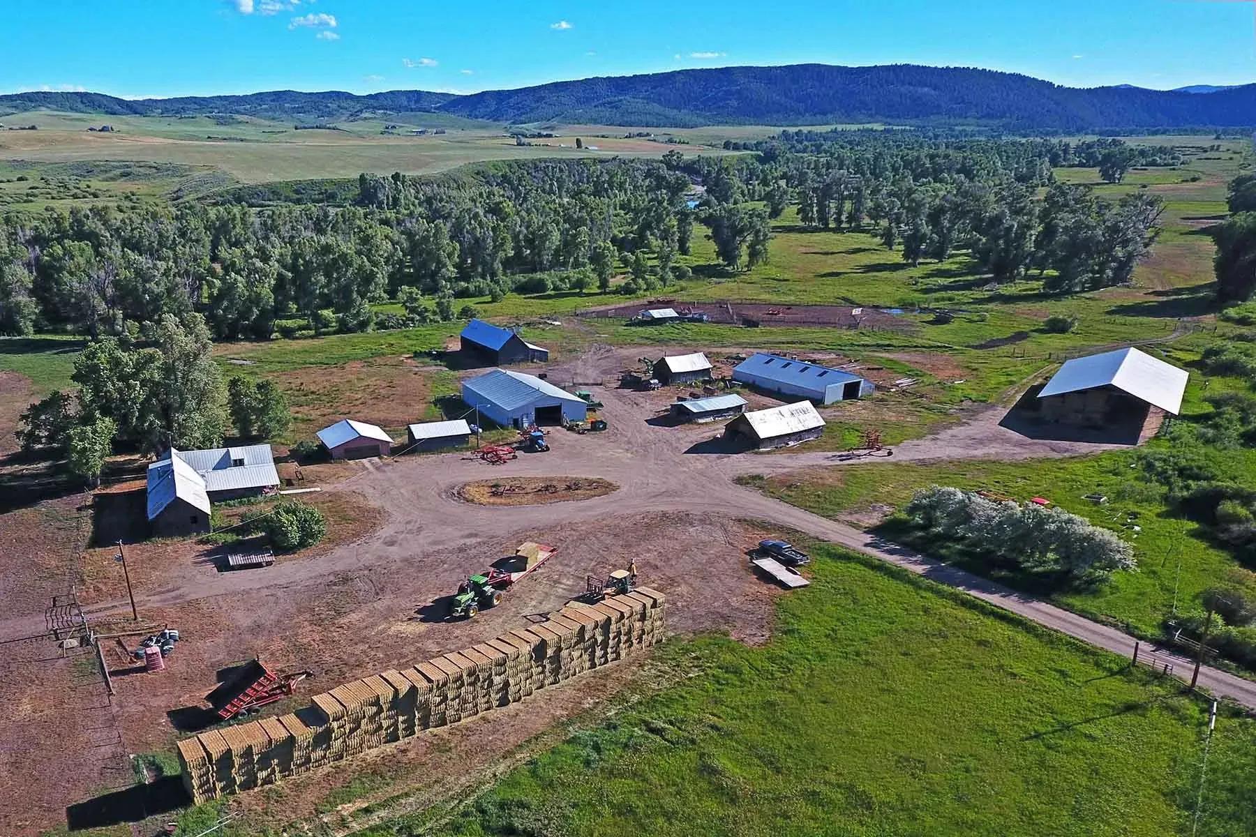 65996842-31