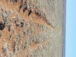 66004454-8