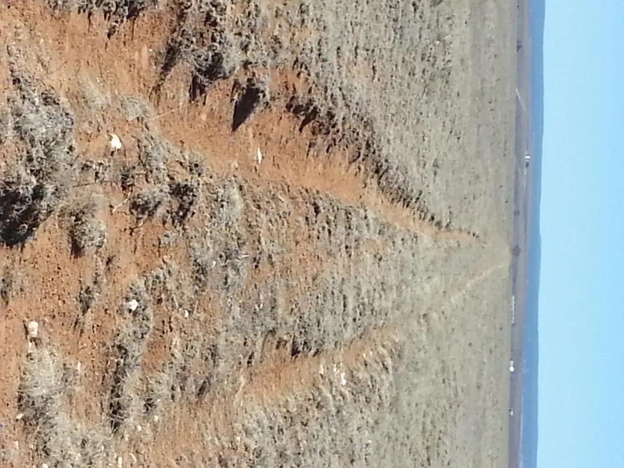66004454-8