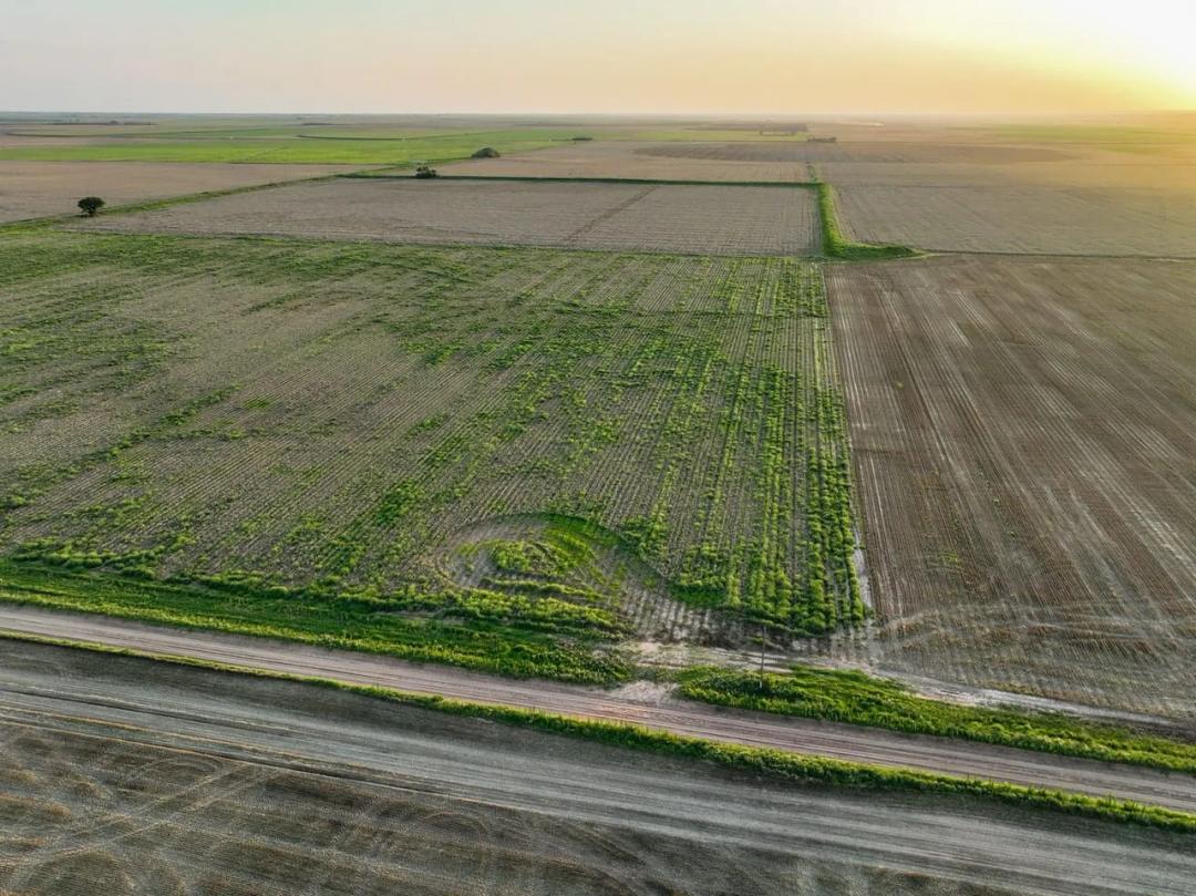 Haskell DO Farms