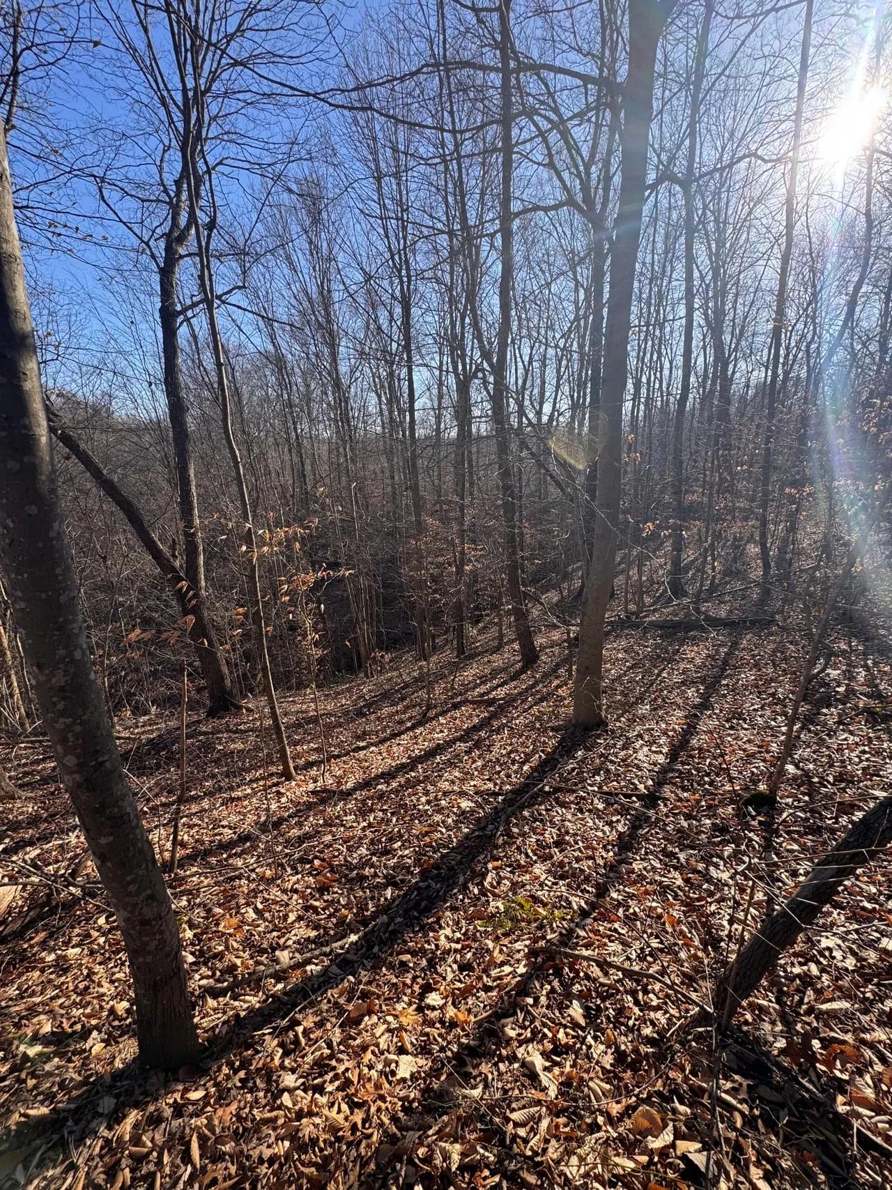 66041728-19