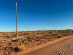 1 IMG_8094