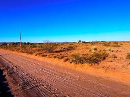 5 IMG_8103