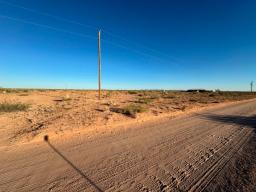 6 IMG_8110