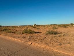 9 IMG_8116