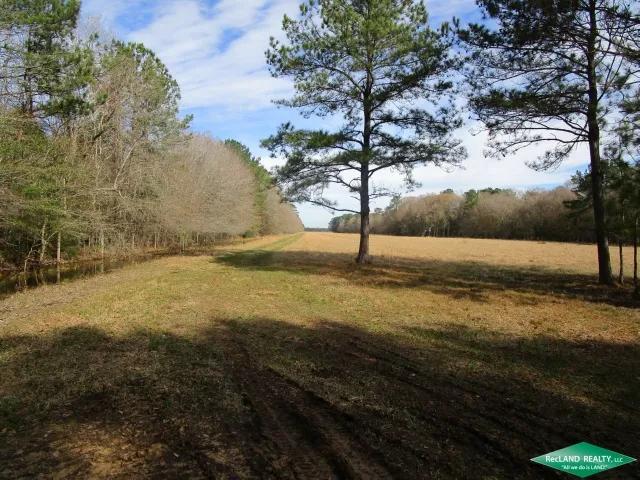 1294 ac - Ranch, Development Potential, Recreational, Timberland