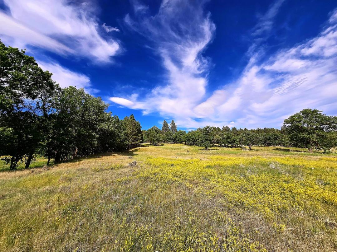 Mona Meadows