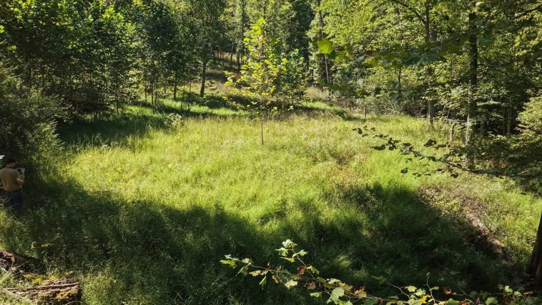 107 Acres of Recreational Land with PRIVATE Site for a Cabin