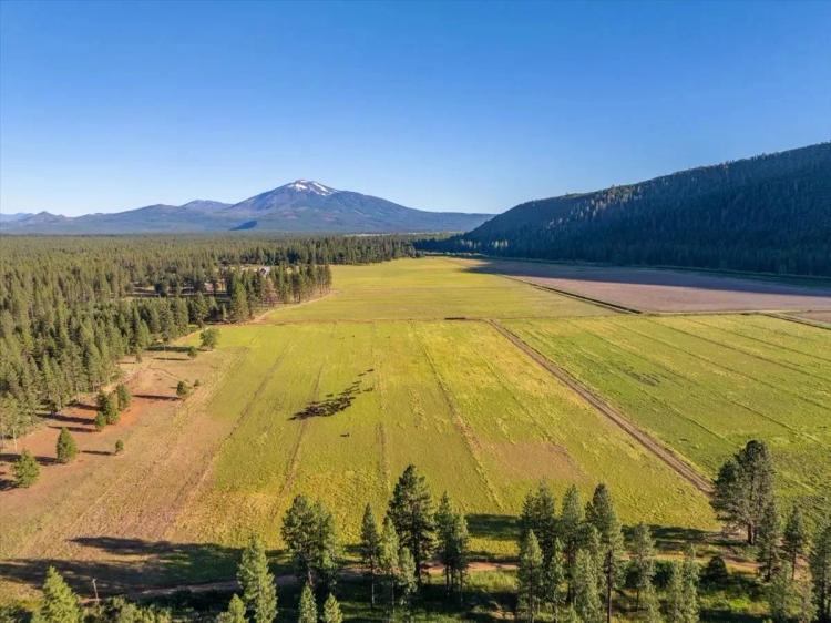 Black Ranch