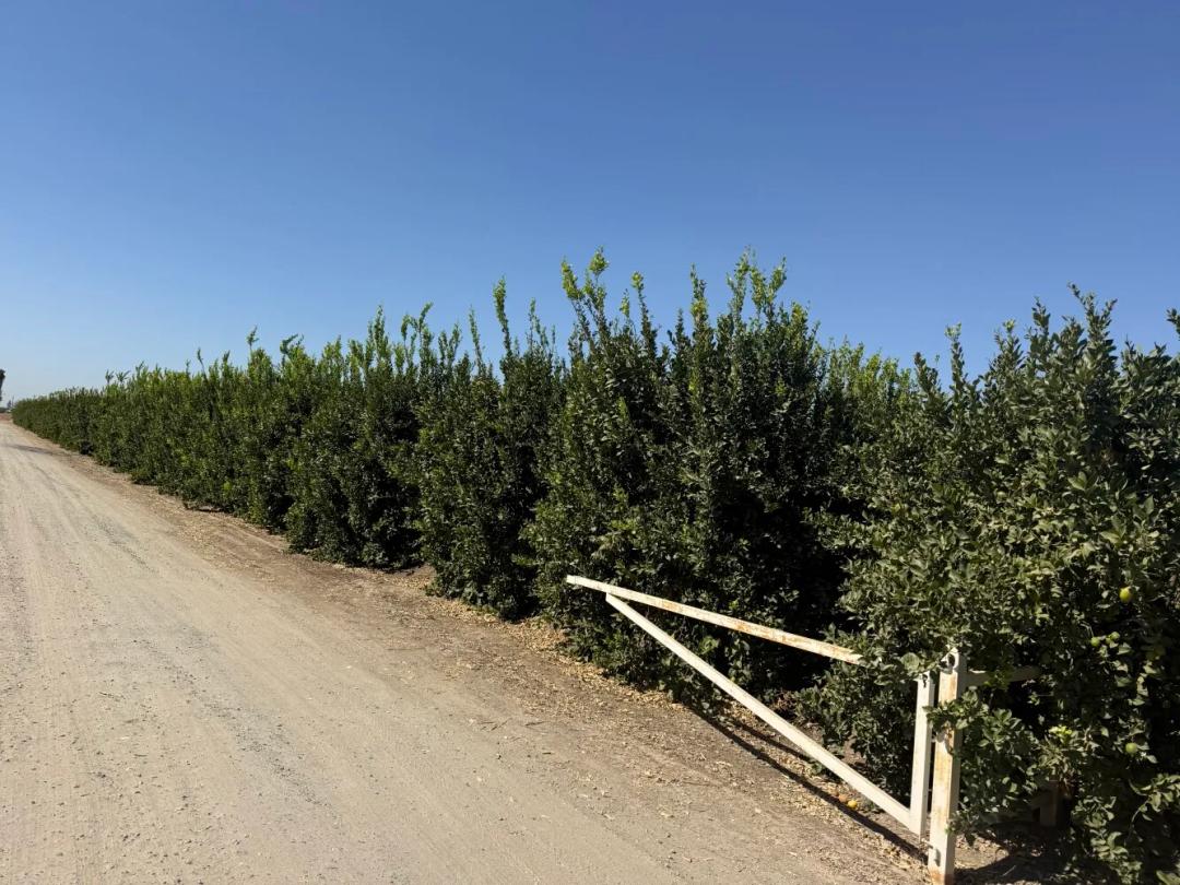 475.99 Acres at 42811 Road 96