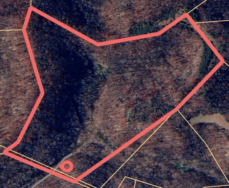 62 Acre Hunting Camp in Jackson Co.