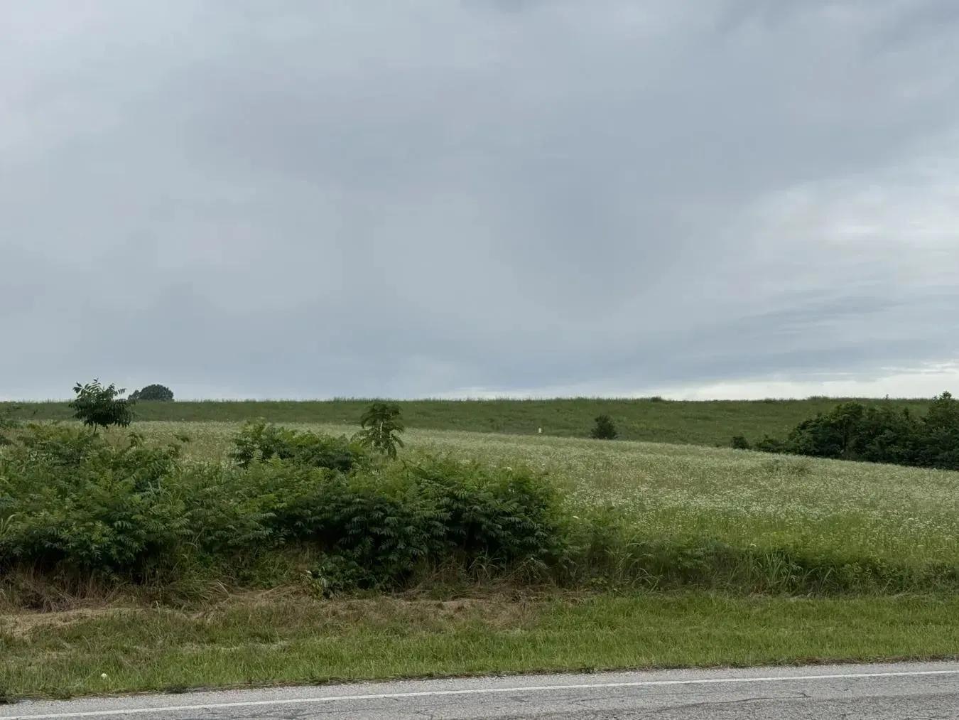 66271703-2