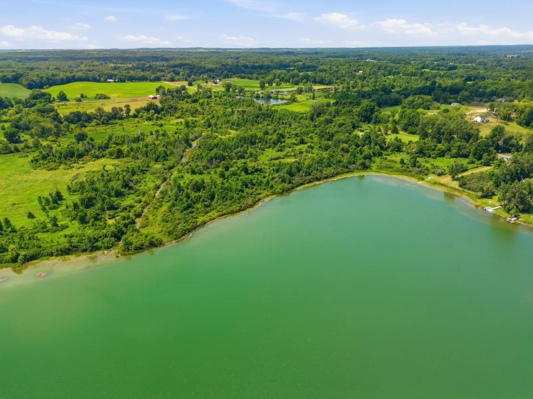 Miller Lake 47