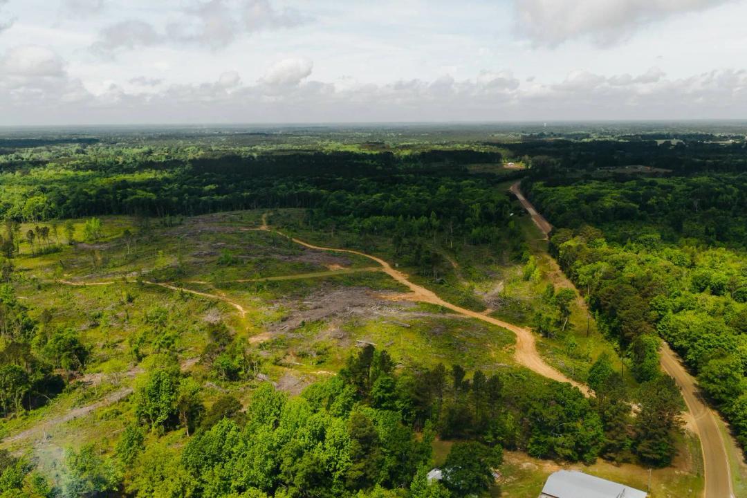 13± Acres Near Nanih Waiya School - Preston, MS