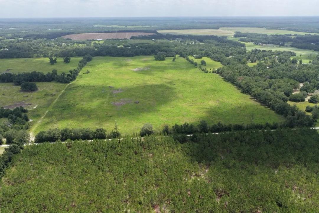77.24 Acres of Prime Timberland & Hunting Land in Live Oak, Florida 