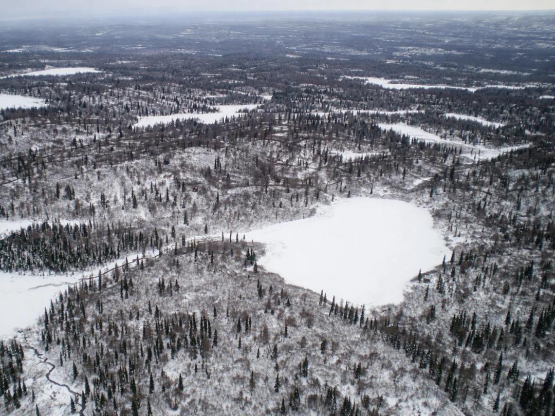 Super Cub Lake Cabin