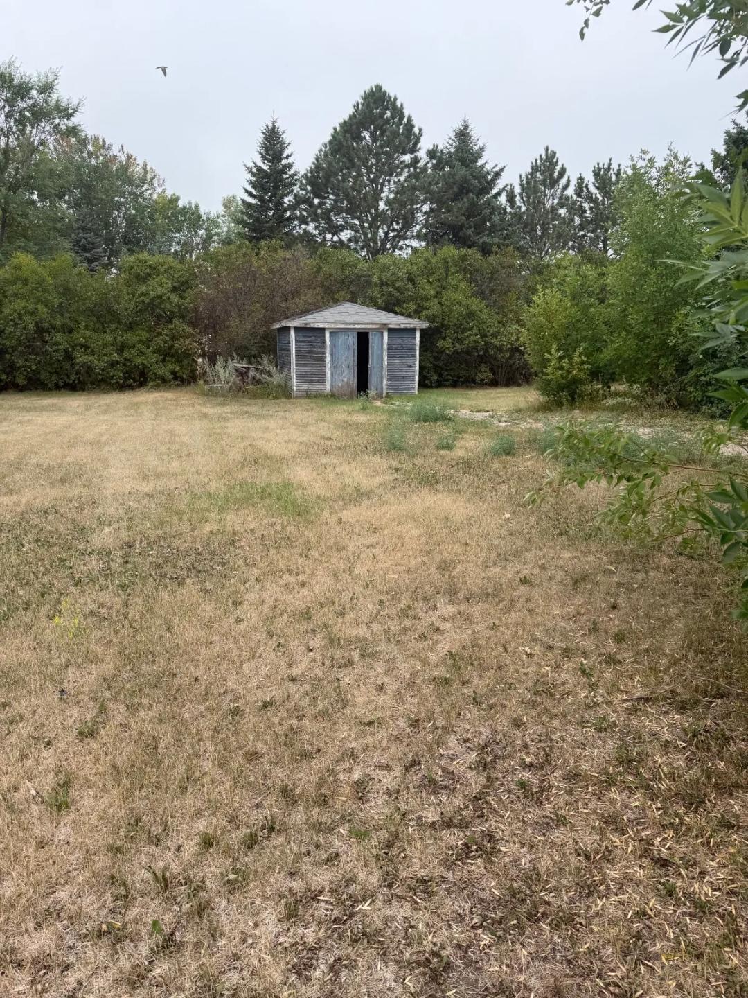 Large Residential Lot with Established Trees &amp; Poured Driveway!