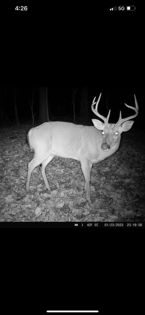 LA - Caldwell 40 acres +/-