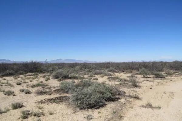 200.00 Acres at 1000 N Norland Rd