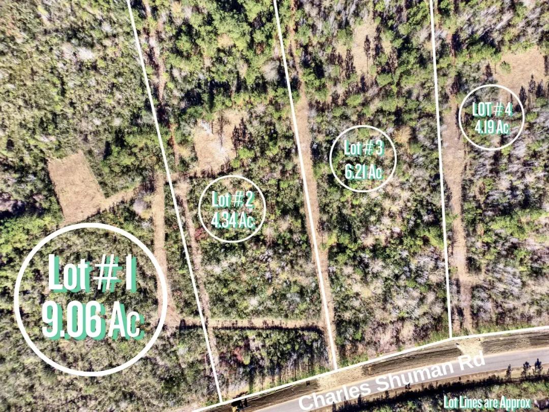 9.06 Acres - Buildable Lot - 7 Miles to Hyundai Plant
