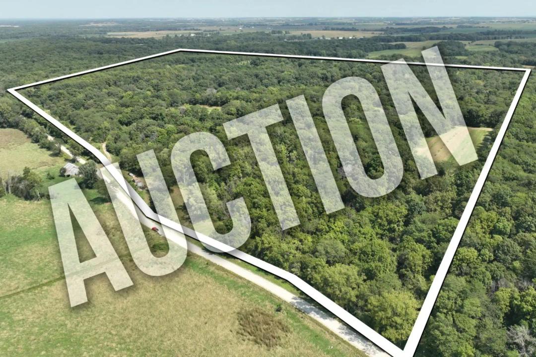 Iowa Land For Sale in Muscatine County 