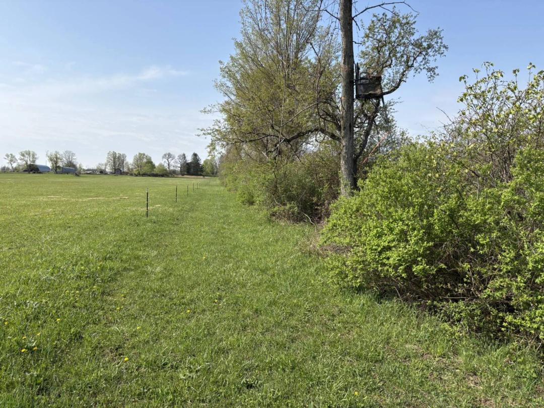17 Acres of Prime Hunting Land with Private Right of Way!