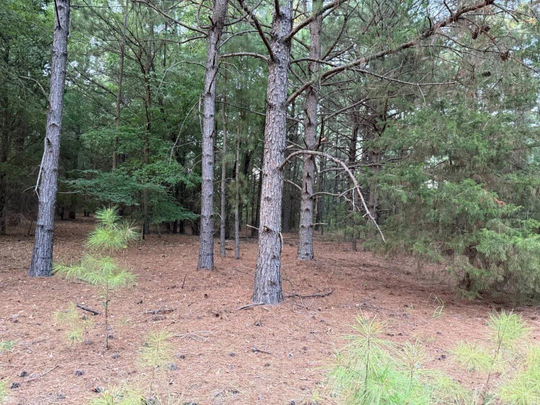 80 ACRES HUNTING &amp; RECREATION LAND MESSER FIRE DEPARTMENT