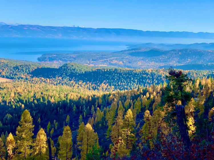 Beautiful Flathead Lake Views