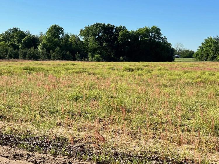 21.97 Acres of Versatile Land Near Florida & Georgia – Ideal for Homes, Recreation, and Investment