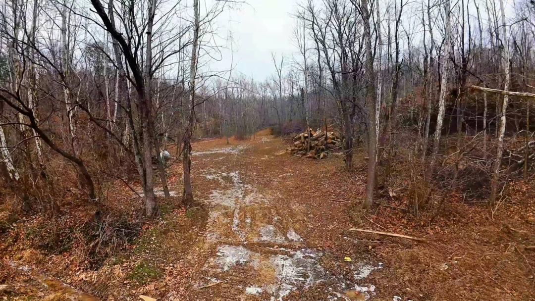 Land for Sale in Lawrence County