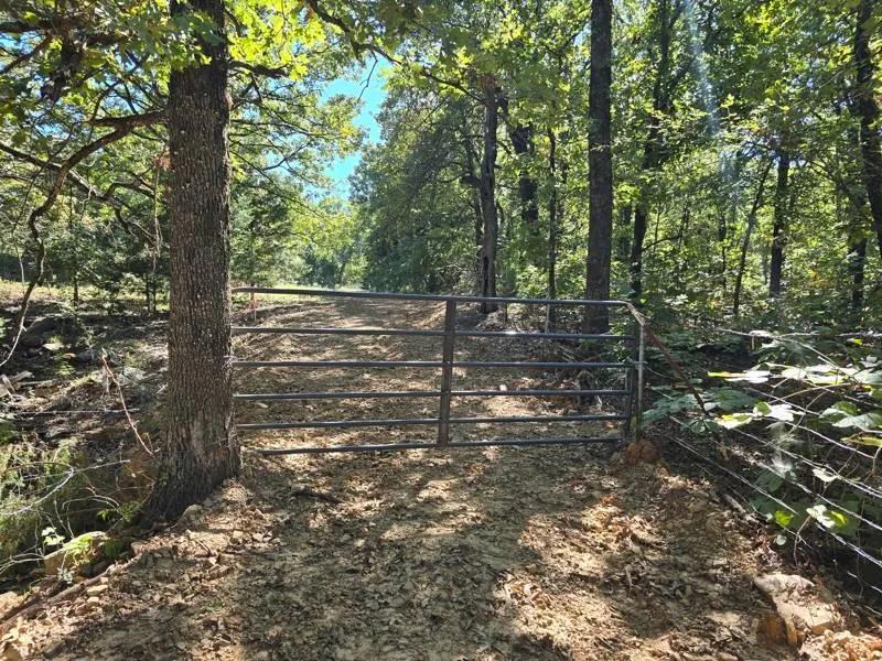 40 Acre Recreational Property For Sale