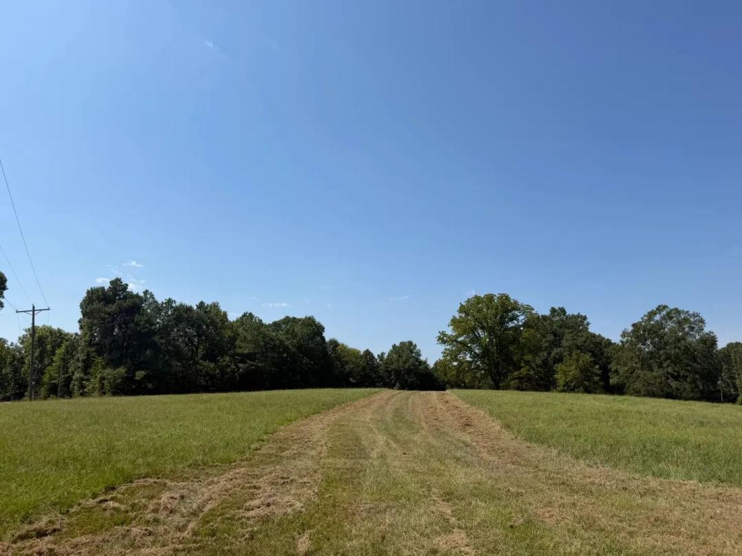 80.4 Acres in Tate County, MS 