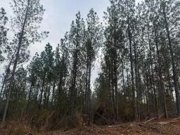 66832560-10