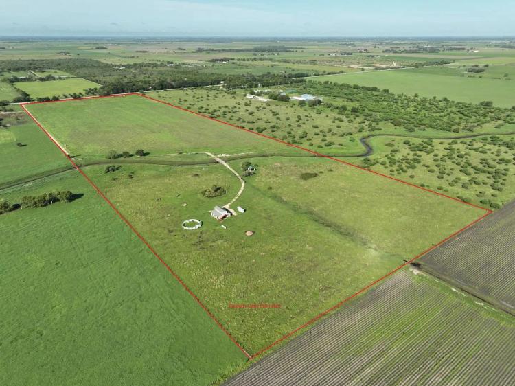 Alessie Farm
