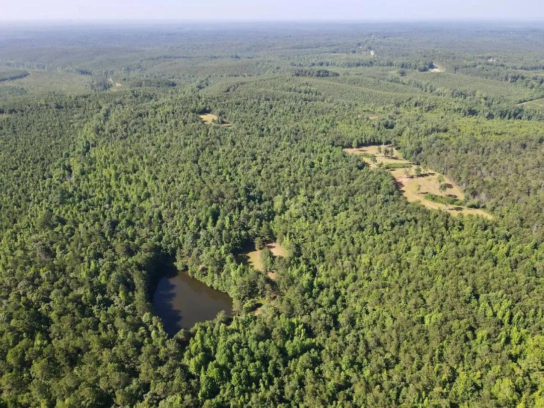 Ridge Road Hunting & Recreation Tract – 88± Acres