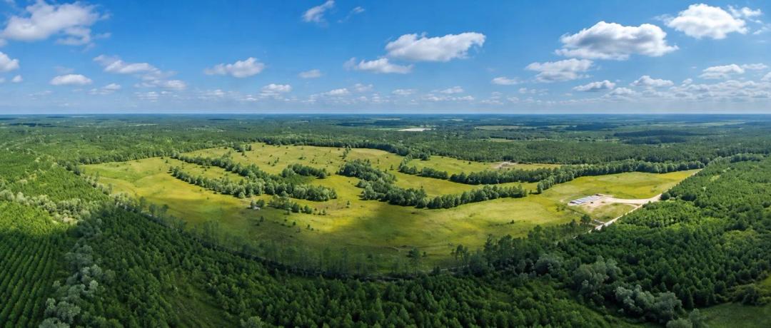 241± Acres of South Georgia Recreational Paradise