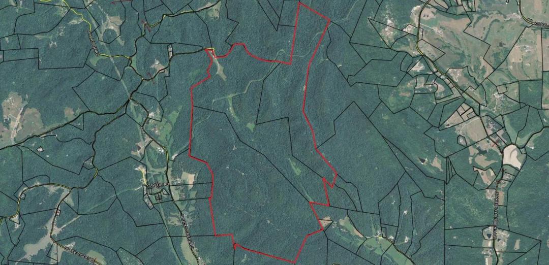 1,004 +/- ACRES OF TIMBER/RECREATIONAL WOODLAND IN CENTRAL KY