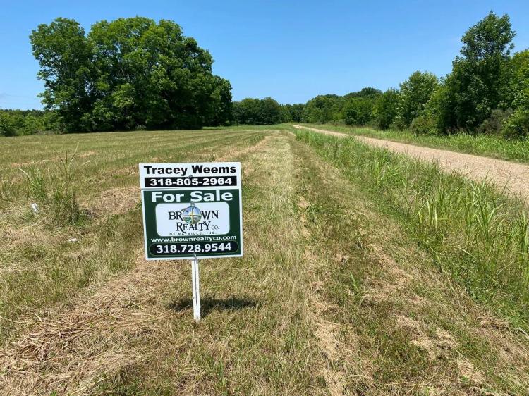 LA - Tensas 85 acres +/-