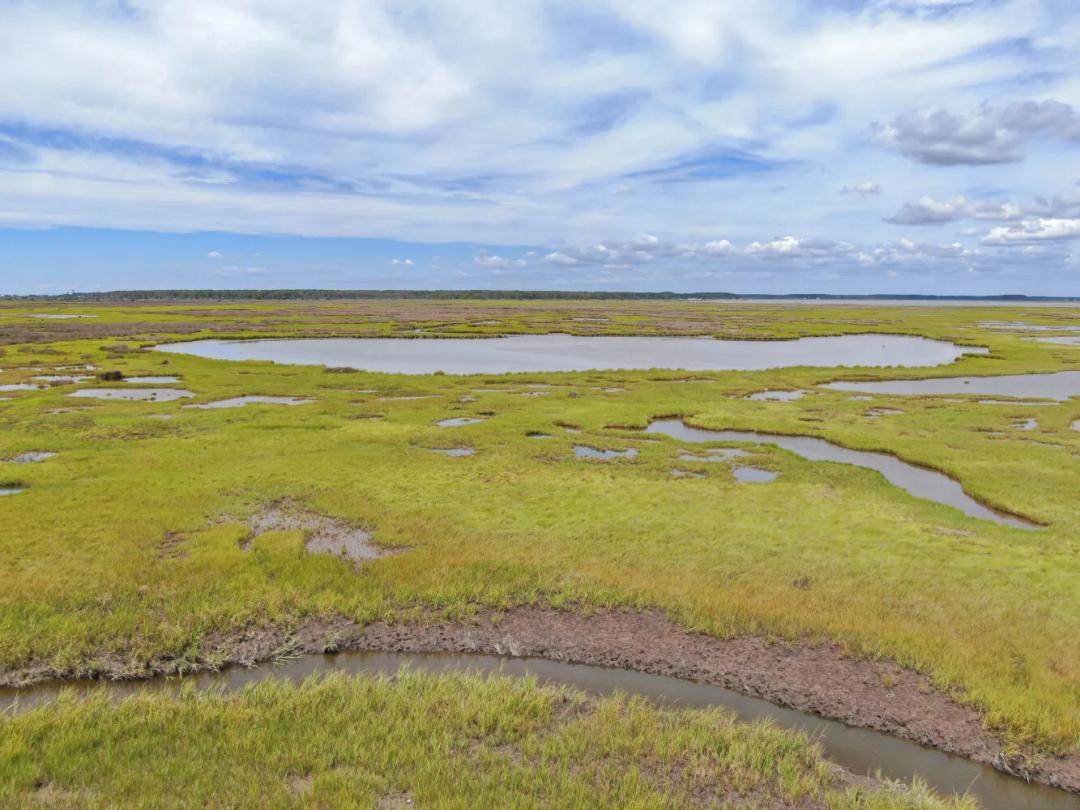 601.77 Acres at 2746 Calvary Road